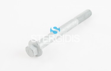 VOLVO FLANGE SCREW